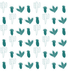 Cactus Cr M Gw