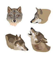 Heads Of Gray Wolves