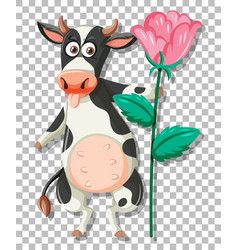 A Cow Holding Pink Flower