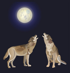 Howling Gray Wolves