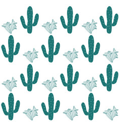 Cactus Cr M Gw