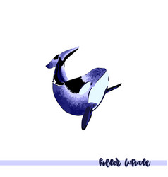 Killer Whale