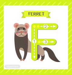 Letter F Uppercase Tracing Standing Ferret