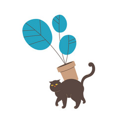 Fluffy Black Cat Or Tabby Dropping Pot With Flower