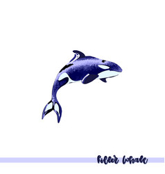 Killer Whale