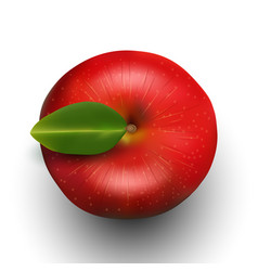 Red Apple Top View