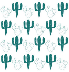 Cactus Cr M Gw