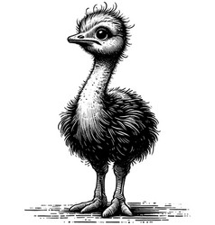 Baby Ostrich Linocut