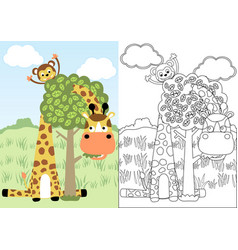 Giraffe And Monkey Playing Peek A Boo Cartoon