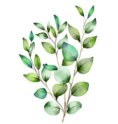 Hand Painted Watercolour Leaves Design