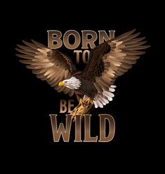 Born To Be Wild Bald Eagle