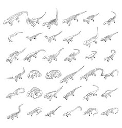 Lizard Icons Set Outline