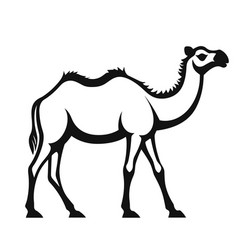 Camel Black Icon On White Background Camel