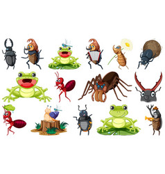 Set Of Various Insects And Amphibians Cartoon