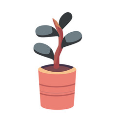 Flat Plant Pot