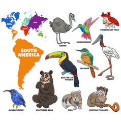 Educational Of Cartoon South American Animals Set