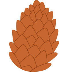 Fir Pine Brown Cone