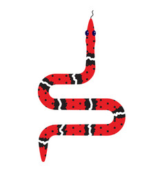 Micrurus Red Snake Cartoon