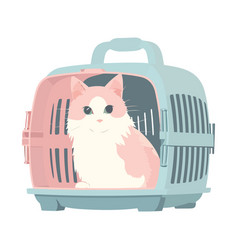 Cute Kitten In A Travel Box