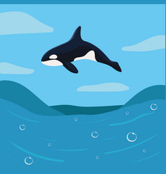 Orca Whale On Ocean