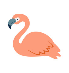 Lying Flamingo Bird