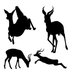 Impala Mammal Silhouettes