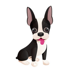 Cute Boston Terrier Cool Sweet Puppy Sitting