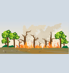 Forest Burning In Natural Disaster