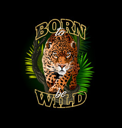 Born To Be Wild Jaguar