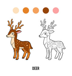 Coloring Book For Kids Deer