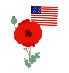 American Flag With Red Poppy Flower Memorial Day