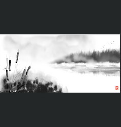 Cattail Reed Plant And Misty Island With Forest