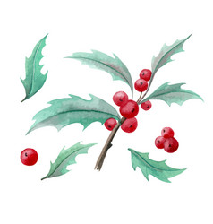 Watercolor Holly Branch With Red Berries And Green