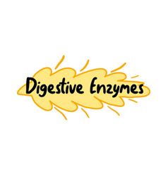 Digestive Enzymes Label Nutrient Quality Sticker