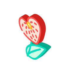 Anthurium Flower Isometric Icon