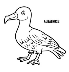 Coloring Book For Kids Albatross