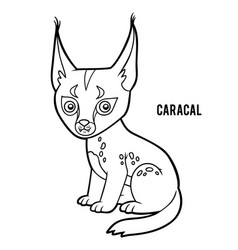 Coloring Book For Kids Caracal