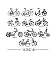 Types Of Bikes