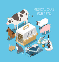 Veterinary Isometric Composition