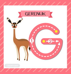 Letter G Uppercase Tracing Standing Gerenuk