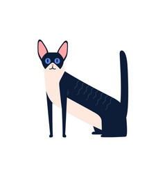 Cartoon Black And White Cornish Rex Cat Breed