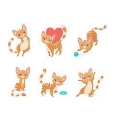 Cute Ginger Striped Kitten As Furry Domestic Pet