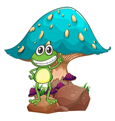 A Frog Standing Above The Rock Below Giant