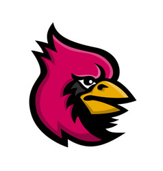 Cardinal Bird Head Mascot