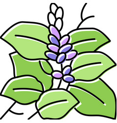 Kudzu Plant Color Icon