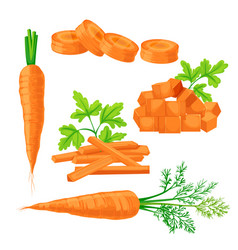 Carrot Vegetable Set Cartoon