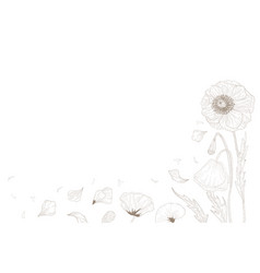 Background Poppy Flower And Leaves Drawing