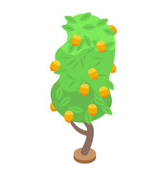 Lemon Fruit Tree Icon Isometric Style