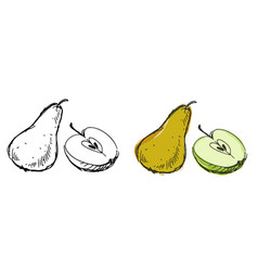 Hand Drawn Of Ripe Whole Yellow Pear And Half