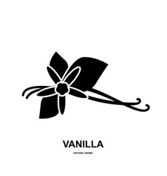 Vanilla Pod Icon Orchid Bean Sticks Dry Vanillin